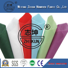 Customrized Colorful Nonwoven for Shopping Bag/Fashion Woman Bags